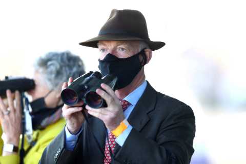 Punter panic as bookies suspend betting on two huge Cheltenham Festival fancies including Willie..