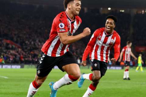 Southampton 2 Norwich 0: Che Adams strike and Oriol Romeu beauty see off Premier League basement..