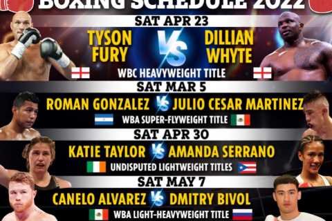 Boxing schedule 2022: Upcoming fights, fixture schedule including Fury vs Whyte DATE, Canelo next..