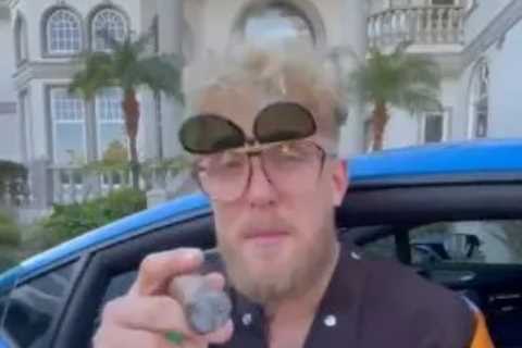 Conor McGregor confirms he’s open to Jake Paul grudge match as UFC superstar slams YouTuber’s fight ..