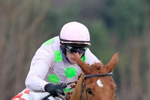 Cheltenham Festival 2022: Top tipster Templegate gives us his ‘banker’ bet of the meeting