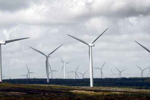 Ministers are clueless on the cost of Boris Johnson’s green plan, MPs say