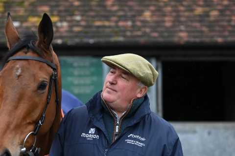 Cheltenham Festival 2022: Paul Nicholls confident of big run from Bravemansgame, the horse with..