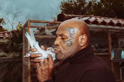 Watch Mike Tyson kiss pigeon and send his own flock of beloved birds flying in bizarre video