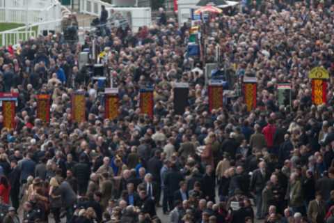 Cheltenham Festival: Race to be named after Ukraine Appeal on Day 1 of the Festival
