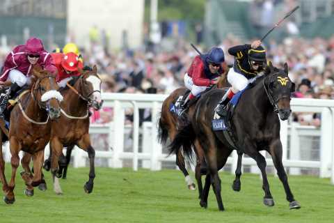 Trainer left heartbroken as three horses, including Royal Ascot winner, killed in fire after..