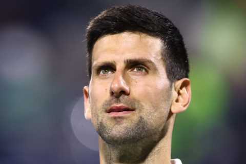 Novak Djokovic sends Whatsapp message offering ‘help’ to ex-tennis pro Stakhovsky who’s returned to ..