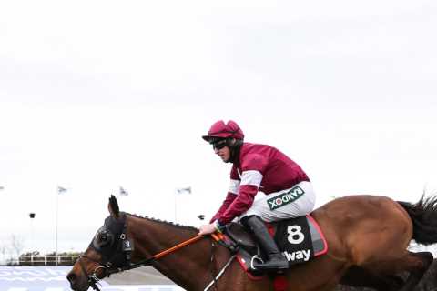 ‘That would put a smile on your face’: Gordon Elliott delivers stable update ahead of Cheltenham
