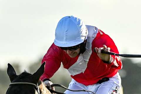 Cheltenham Festival – Ryanair Chase offer: Get Allaho to win at 30/1 with William Hill horse racing ..