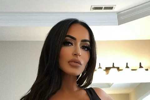 Jersey Shore fans think Angelina Pivarnick has QUIT the show as cast ‘drop clues’ after her divorce ..