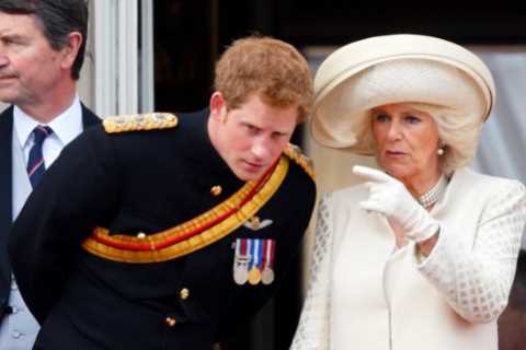 Prince Harry ‘will attack Camilla and blame her for his mental health’ in upcoming autobiography,..
