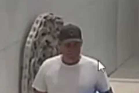 Haunting final pic of Shane Warne shows cricket legend walking through Thai villa just hours before ..