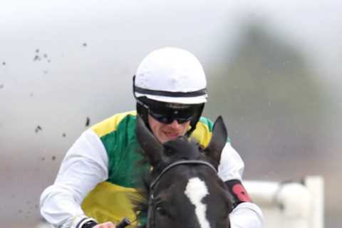 Cheltenham Festival 2022: Massive British boost as monster horse too big to measure gets green..