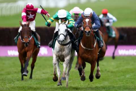 Get Constitution Hill at 50/1, or Jonbon at 80/1 to win the Supreme Novices’ Hurdle at Cheltenham..