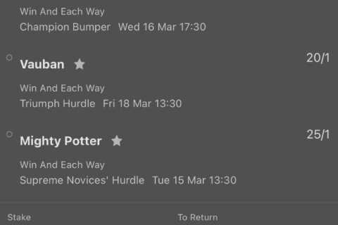 Meet the secret group of Cheltenham Festival punters who bash the bookies for thousands with huge..