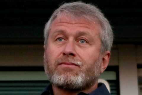 Roman Abramovich pumped £2.1BILLION into Chelsea transfers alone from £24m Drogba masterstroke to..