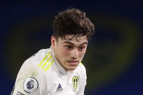 Leeds star Dan James on mission to keep Whites in the Prem AND help Wales reach the World Cup