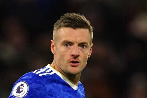 Leicester City ace Jamie Vardy tried to buy a PENGUIN for his family