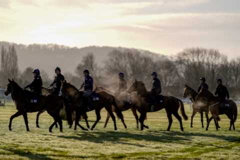 Cheltenham Festival 2022 weather forecast and  going for this week – latest from Prestbury Park