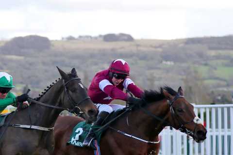 Cheltenham – Gold Cup odds special: 80/1 for Minella Indo or Galvin to win on Friday