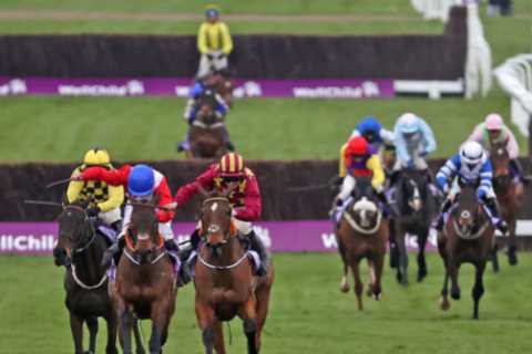 Cheltenham Festival: All you need to know including how to find winners as greatest show on turf..