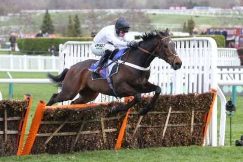 Nicky Henderson breaks down in tears as beloved Constitution Hill romps home in first race at..
