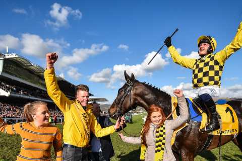 The secret guide to picking a Cheltenham Festival winner – how these paddock pointers can solve..