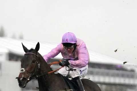 4.50 Cheltenham result – day 2: Who won Grand Annual 2022? How every horse finished