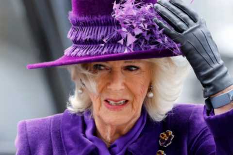 Camilla cancels day at Cheltenham as she struggles to overcome Covid after testing positive a month ..