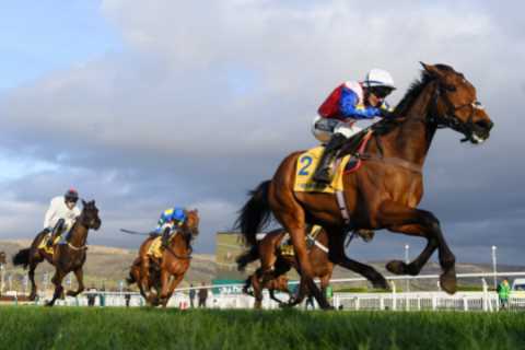 5.30 Cheltenham result – day 3: Who Kim Muir Challenge Cup 2022? How every horse finished
