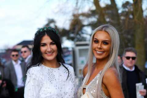 Cheltenham racegoers make a statement in daring frocks and VERY eye-popping hats as they celebrate..