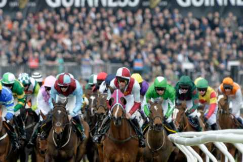 Beat the stampede to Cheltenham Festival 2023