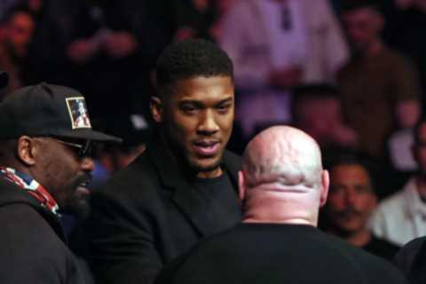 ‘We live and breathe the fight game’ – Anthony Joshua joined by Dereck Chisora and Co in front row..