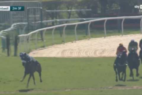 Punters left cursing as leader bails out early and then winner crashes in incident packed race at..