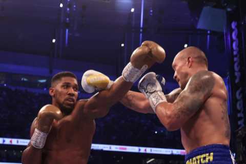Tyson Fury, Anthony Joshua and Deontay Wilder ‘would not last’ in Mike Tyson’s era, claims Tim..