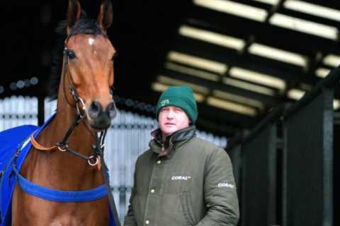 Aintree Grand National: This 25-1 shot looks great value bet for Colin Tizzard to bow out on a high
