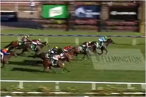 Punter wins thousands on 50/1 outsider after mystery text to WRONG NUMBER… and celebrates with..
