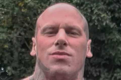 Jake Paul called out by ‘world’s scariest man’ Martyn Ford for fight despite NINE STONE weight..