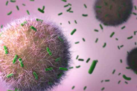 New warning that Victorian killer disease could return due to Covid