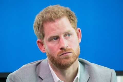 Prince Harry’s lawyer blasted by furious High Court judge after breaking privacy rules in security..