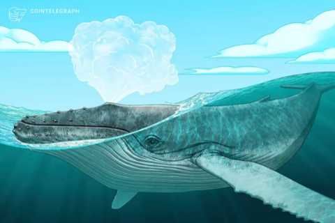 Beware the Bitfinex whale: New $45K BTC sell wall appears amid worries Bitcoin could retrace