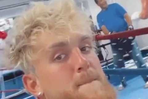 Jake Paul back training in Puerto Rico with brother Logan amid rumours of summer boxing return for..