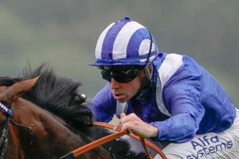 The most exciting horse in training is back, Frankie’s five years left at the top… and why I’ll win ..