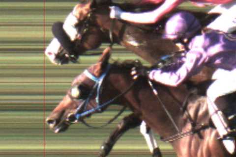 ‘Bloody dirty’ – Owner livid as ‘winning’ horse is demoted to second SIX WEEKS after race