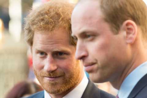 Prince William ‘made dig at brother Harry’ with ‘not telling people what to do’ comment, royal..