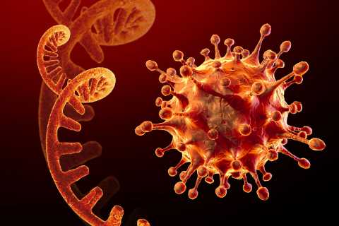 637 cases of new Covid variant detected in UK as two Omicron strains combine, scientists discover