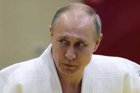 UFC legend Joe Rogan offers to train Elon Musk for ‘epic’ fight with Russian despot Vladimir Putin..