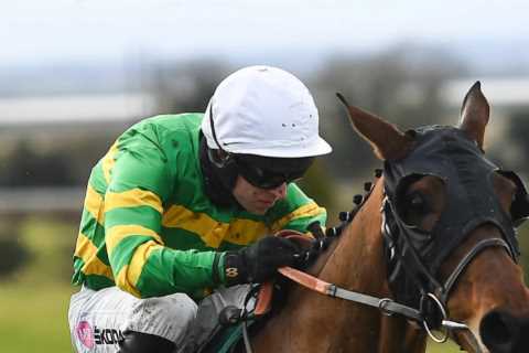 Grand National predictions: Most backed horses revealed with more than £350,000 already staked and..