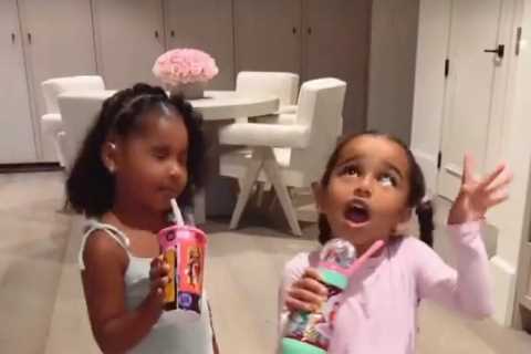 Khloe Kardashian fans predict daughter True, 3, will be a MODEL like aunt Kendall Jenner as she..