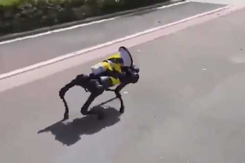 Chilling vids show creepy ROBOT dogs parading the streets of Shanghai to enforce world’s strictest..